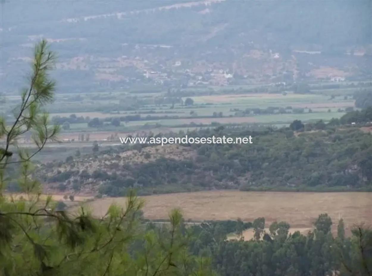 Gökçe Gökçe 21671M2 Bauernhof Zum Verkauf Zum Verkauf