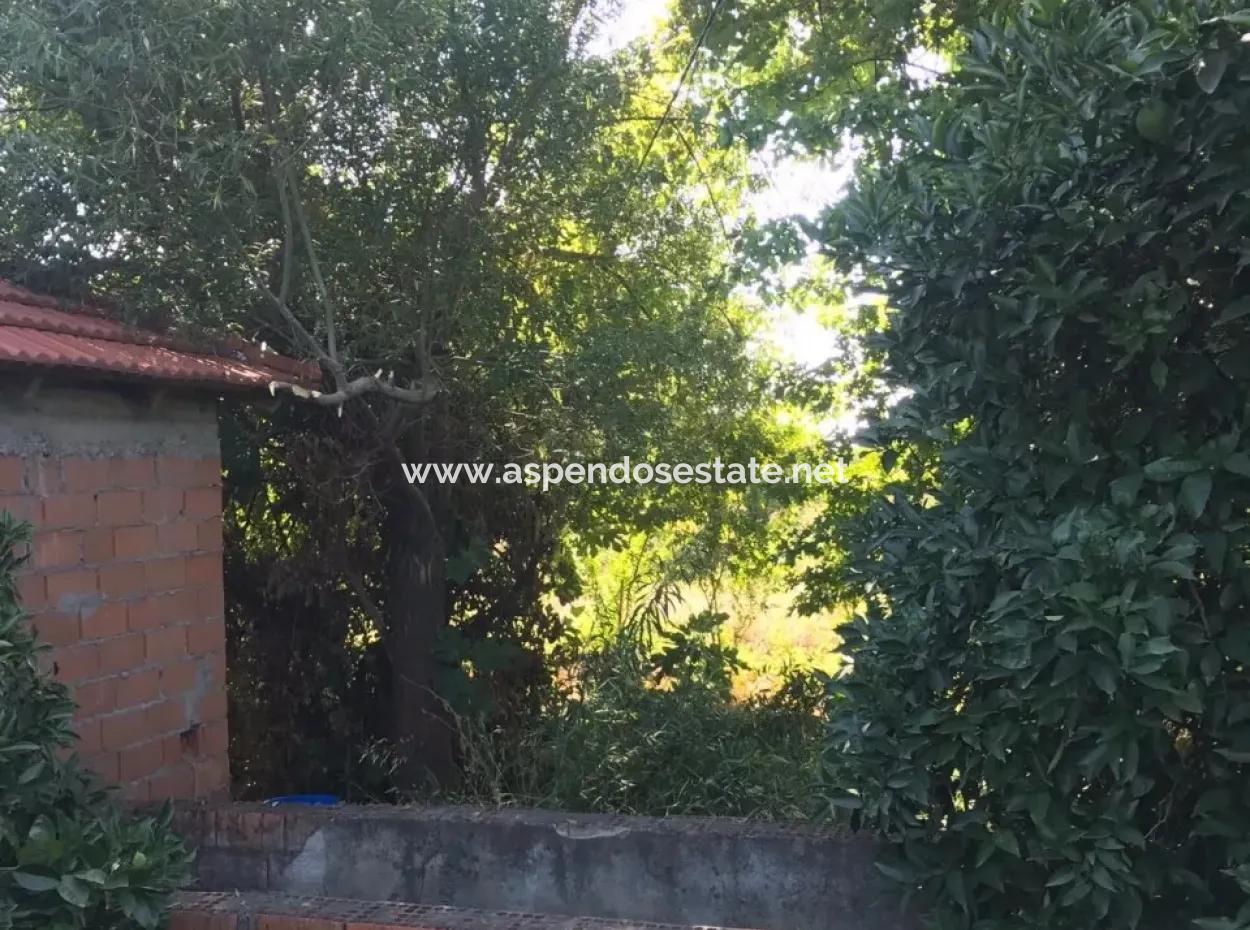 Garten Grundstück Mit Garten Zum Verkauf In Köyceğiz Zum Verkauf In Dogusbelen Dogusbelen Narenc