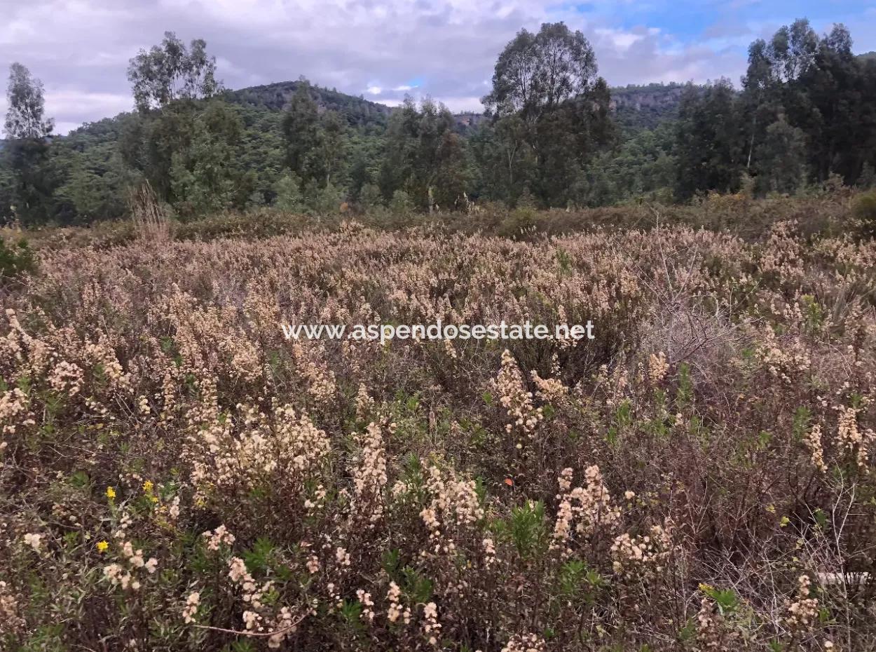 Land Zum Verkauf Null Zu 'Aml' Kanal 28768M2 Land Zum Verkauf Mit Meerblick In Camlida