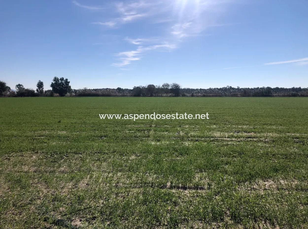 Land Zu Verkaufen In Sar'germede 30.000M2 Land Zum Verkauf Mit Meerblick