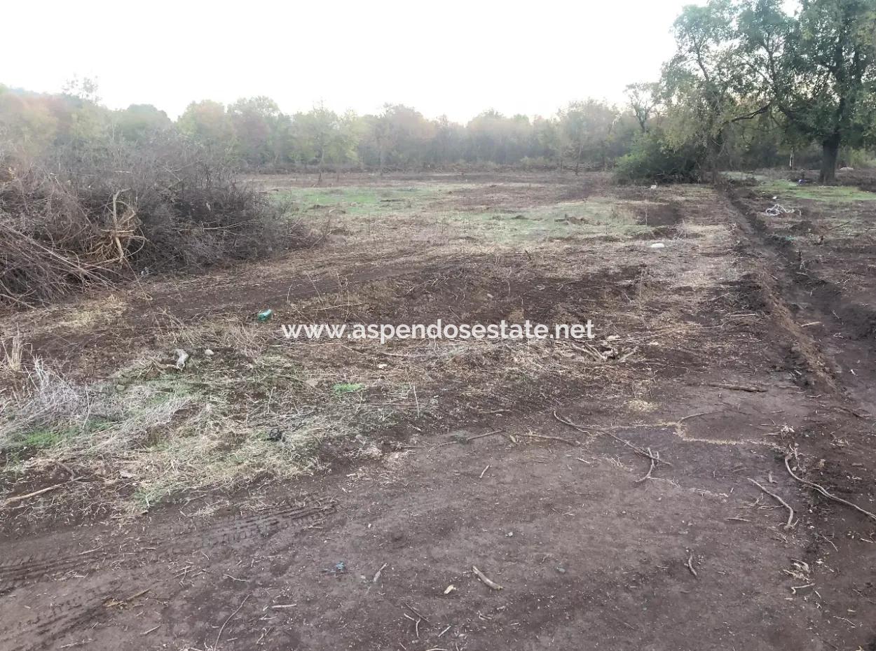 Sultaniye Land For Sale Near 10577M2 Lake Land For Sale