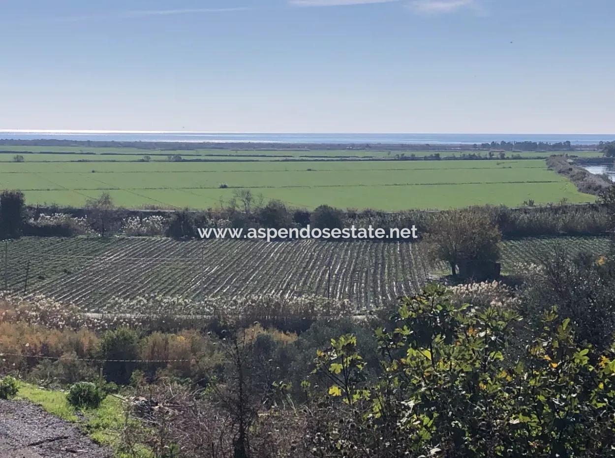 Grundstück Zum Verkauf Mit Meerblick Von Fevziye