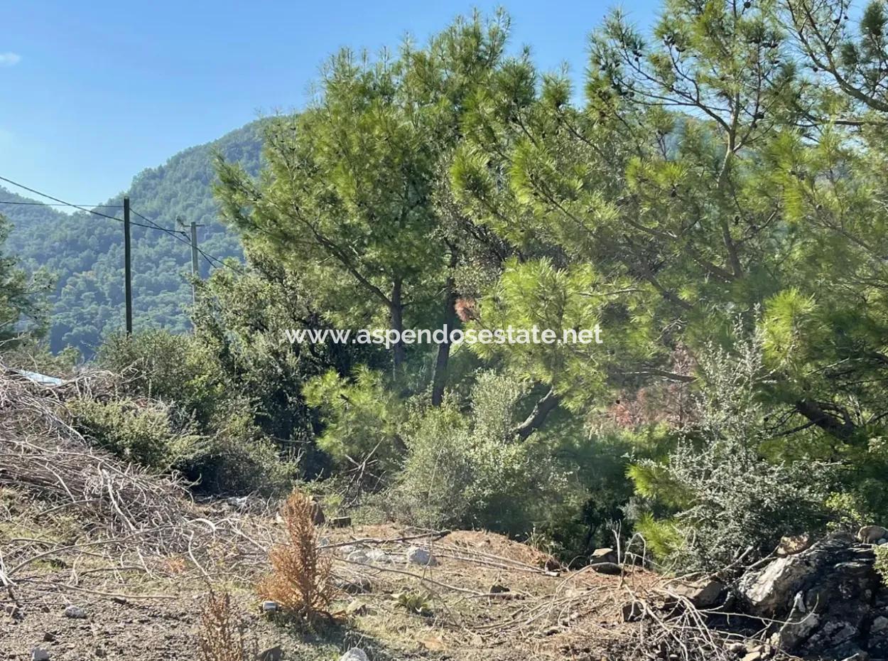 4801M2 Grundstück Zum Verkauf In Gökbel Mit Vollem Meerblick