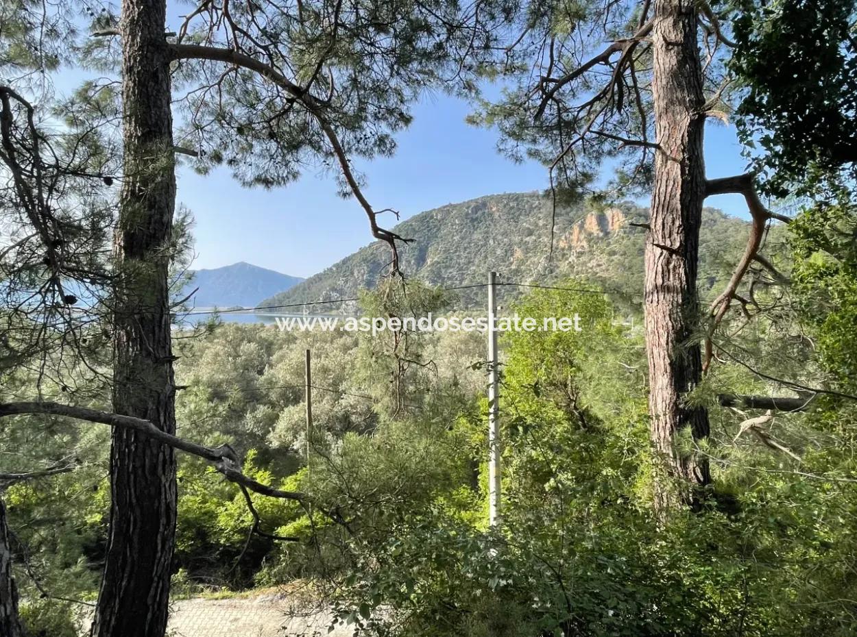 1.136M2 Feldgrundstück Zum Verkauf Mit Çandır Seeblick