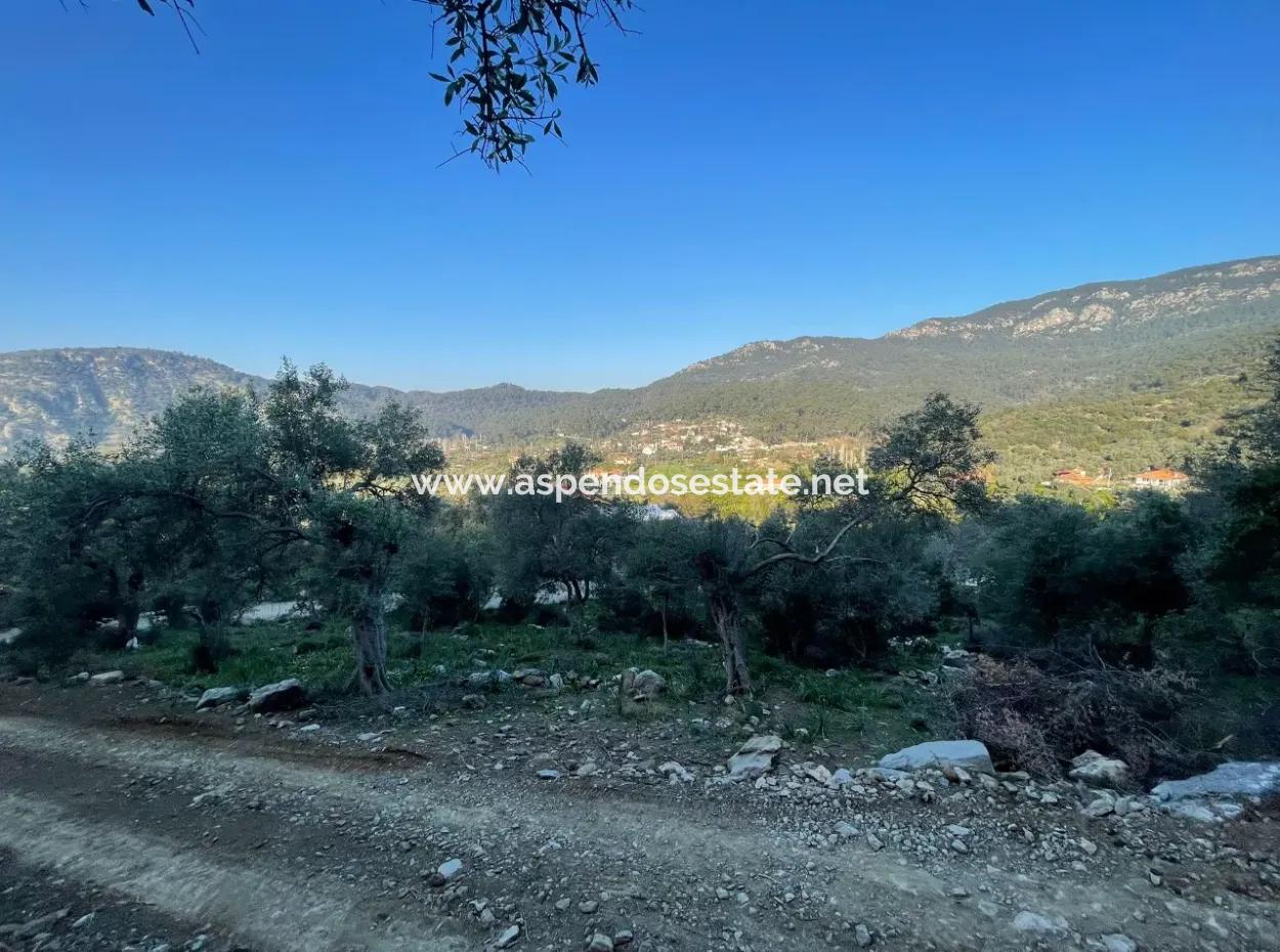 Çandır See Meerblick 2.806M2 2B Feld Zum Verkauf