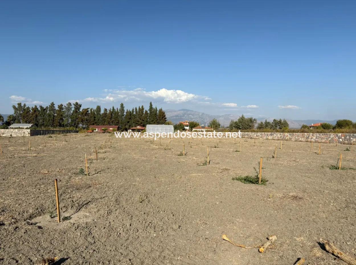 19.663M2 Ackerland Und Haus Zum Verkauf In Eskiköy