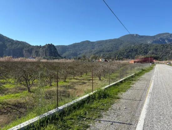 5985M2 5% Zoniertes Land Zum Verkauf In Dalyan Als Weinberggarten