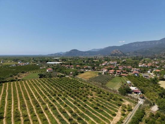 5100 M² Großes Grundstück In Der Nähe Des Stadtzentrums Von Dalyan Zu Verkaufen.