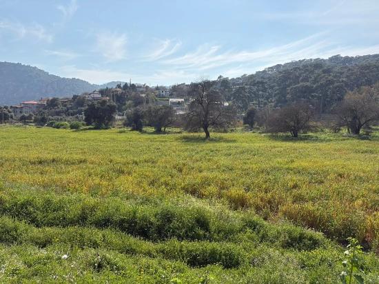 2.023 M² Großes Grundstück In Çandır Village, Köyceğiz, Zu Verkaufen, Mit Miteigentum Und Freiwilliger Aufteilung.