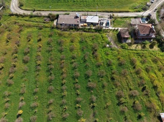 Tourismusorientiertes Unternehmen Auf Einem 11.000 M² Großen Grundstück In Eskiköy Zu Verkaufen.