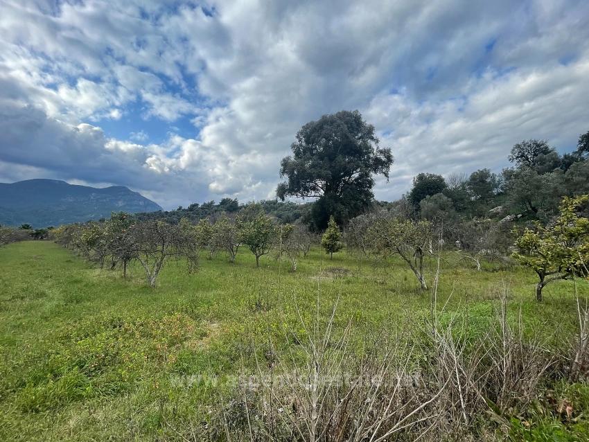 Boutique Hotel And Bungalows For Sale On An 11,000M2 Plot In Dalyan