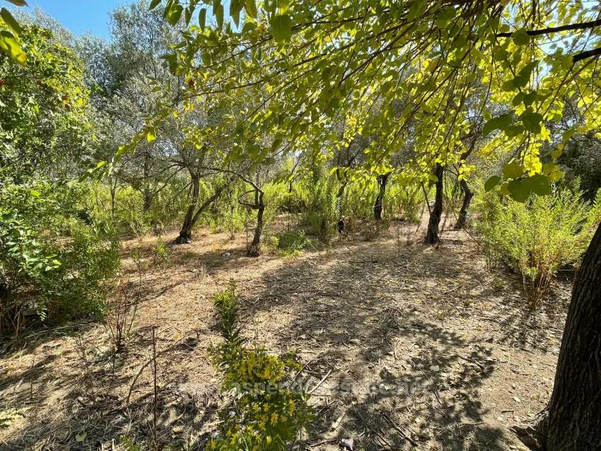 2765M2 Detached House For Sale In Çandır, Right Next To The Canal