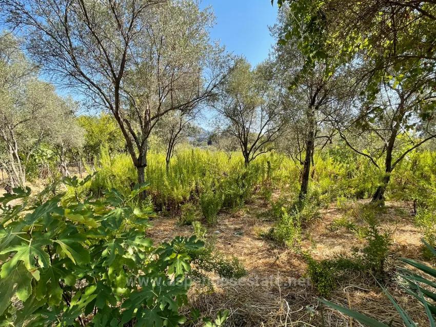 2765M2 Detached House For Sale In Çandır, Right Next To The Canal