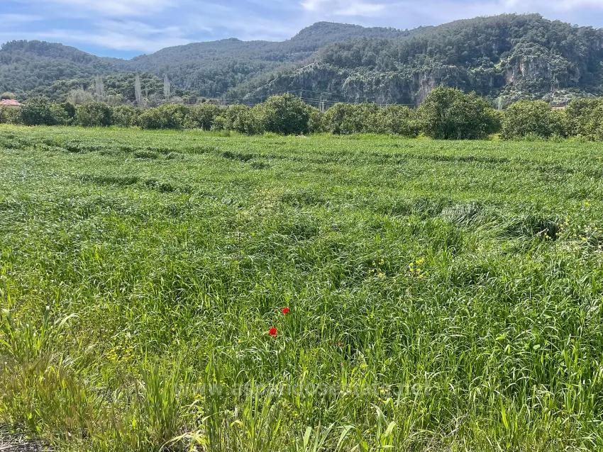 Archers' In Okçular'da 736M2 Olan 250M2 Construction Licensed For Sale Plot