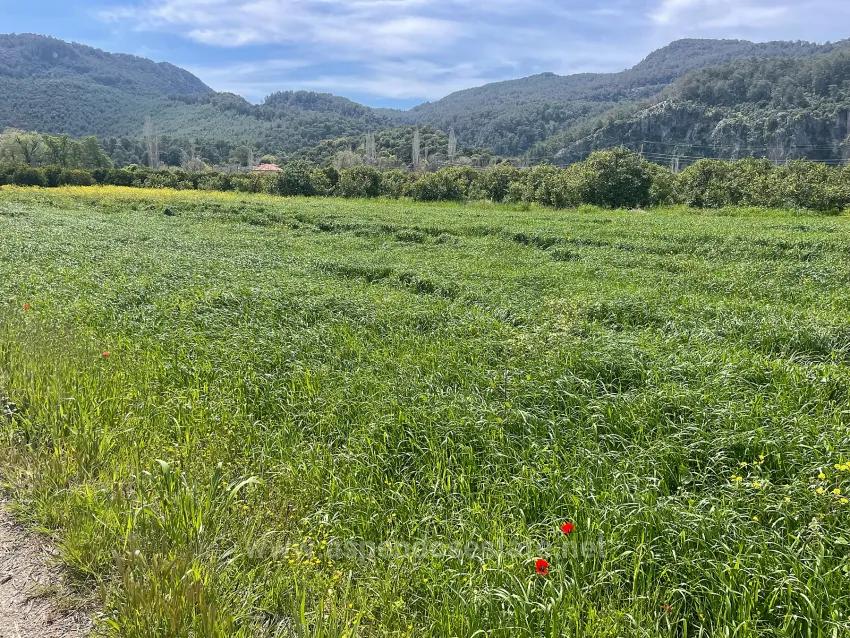 Archers' In Okçular'da 736M2 Olan 250M2 Construction Licensed For Sale Plot