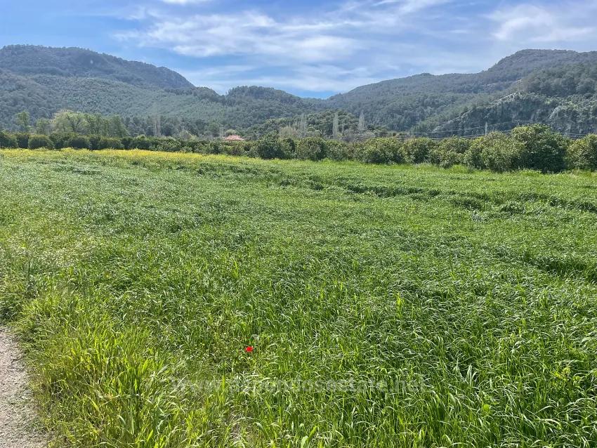 Archers' In Okçular'da 736M2 Olan 250M2 Construction Licensed For Sale Plot