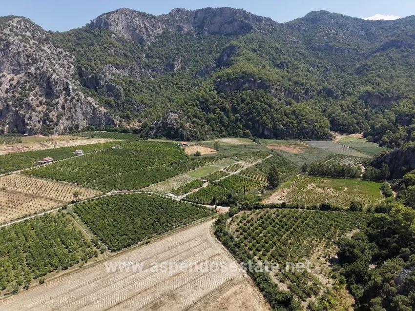 Field For sale in Dalyan Nbh. Ortaca - Field Zoned - 20.786 m²