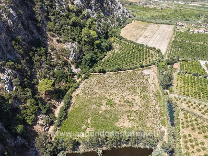 Field For sale in Dalyan Nbh. Ortaca - Field Zoned - 20.786 m²