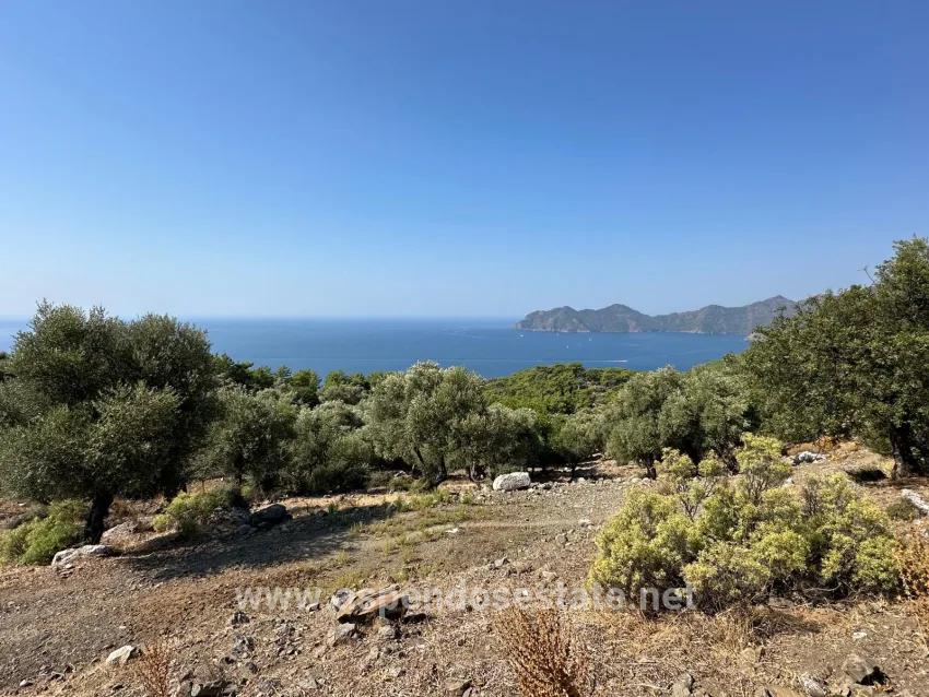 Field For sale in Çandır Nbh. Köyceğiz - Field Zoned - 21.000 m²