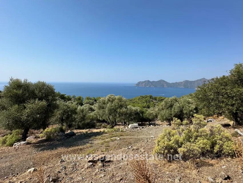 Field For sale in Çandır Nbh. Köyceğiz - Field Zoned - 21.000 m²