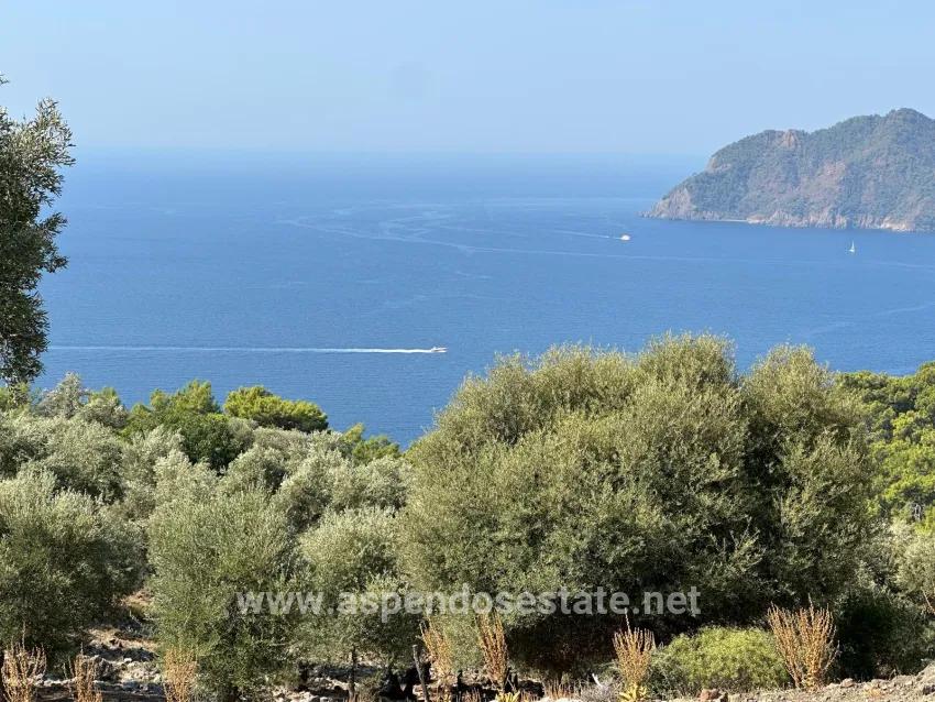 Field For sale in Çandır Nbh. Köyceğiz - Field Zoned - 21.000 m²