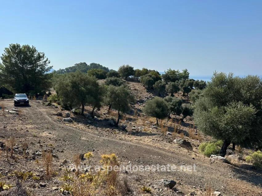 Field For sale in Çandır Nbh. Köyceğiz - Field Zoned - 21.000 m²