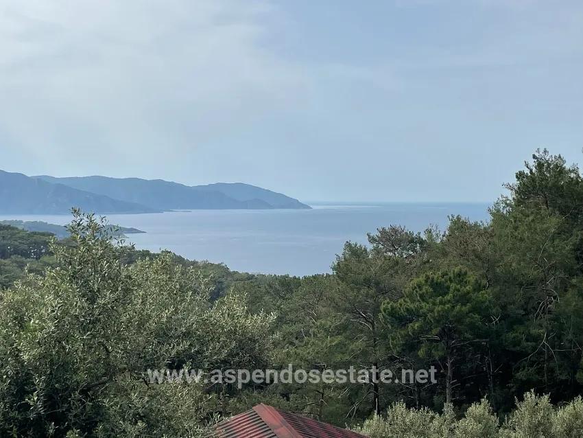 Field For sale in Ekincik Nbh. Köyceğiz - Olive Zoned - 7.000 m²