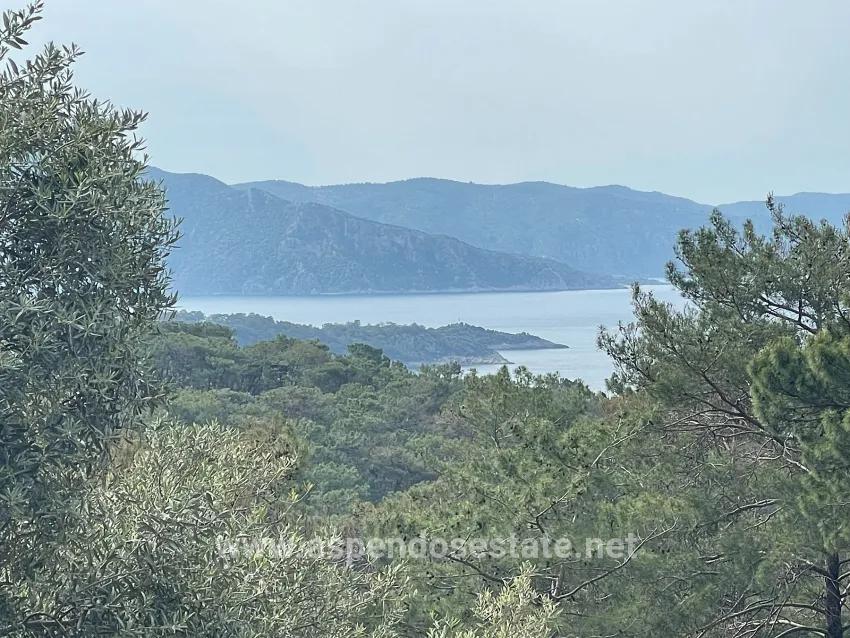 Field For sale in Ekincik Nbh. Köyceğiz - Olive Zoned - 7.000 m²