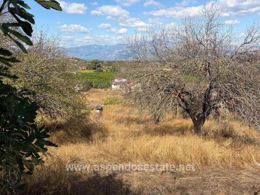 Field For sale in Dalyan Nbh. Ortaca - Field Zoned - 5.000 m²