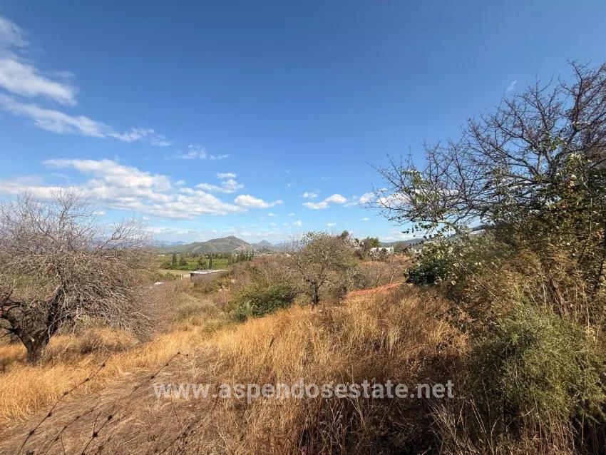 Field For sale in Dalyan Nbh. Ortaca - Field Zoned - 5.000 m²