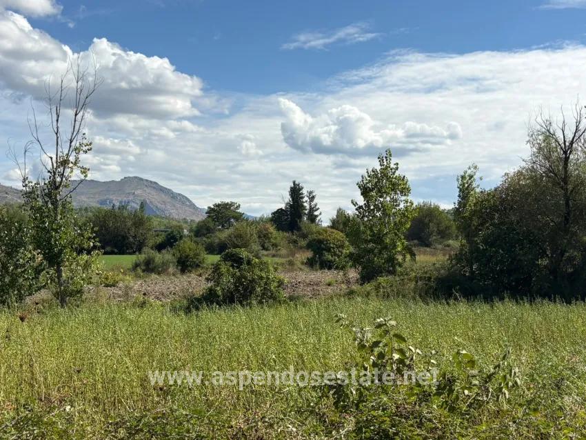 Field For sale in Zeytinalanı Nbh. Köyceğiz - Field Zoned - 10.500 m²