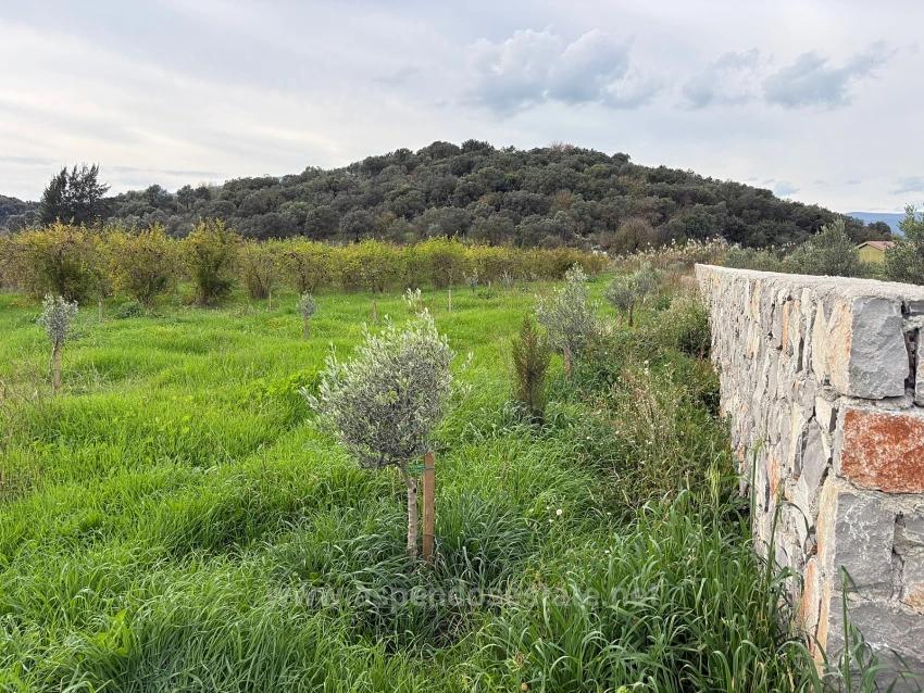 19,663 M² Farm Land And House In Eskiköy