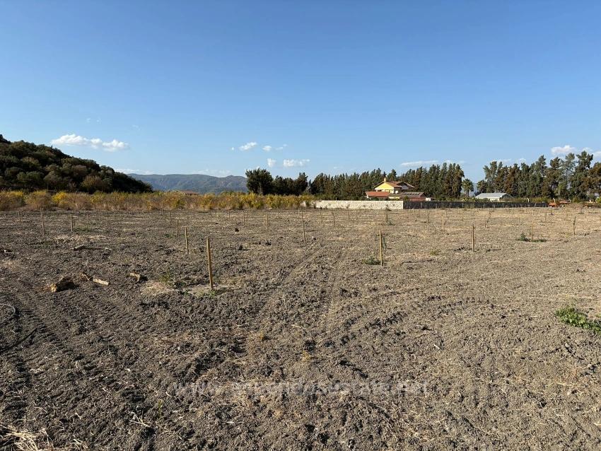 19,663 M² Farm Land And House In Eskiköy