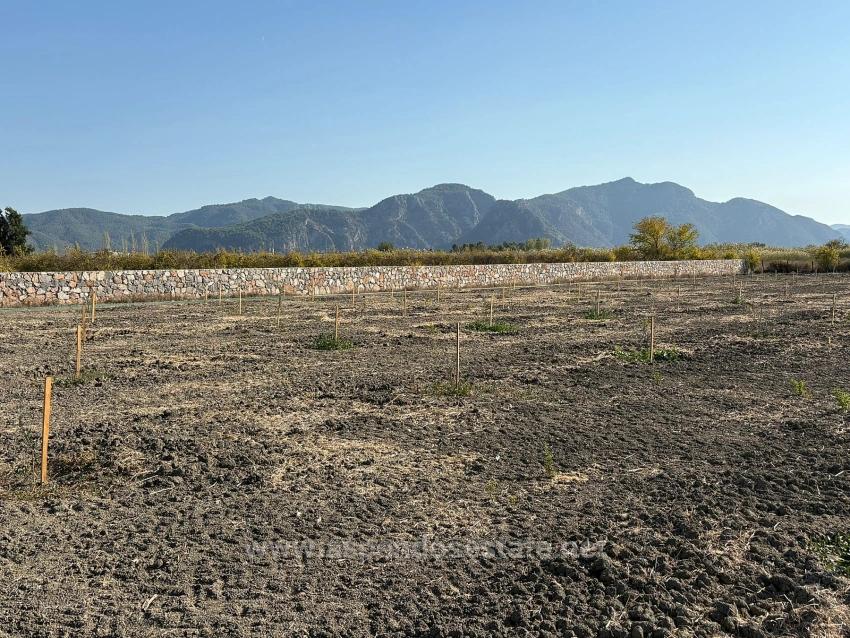 19,663 M² Farm Land And House In Eskiköy