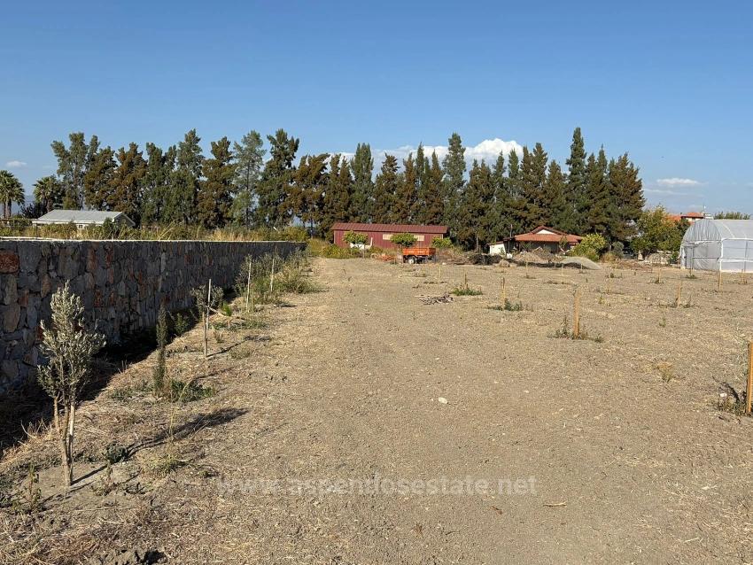 19,663 M² Farm Land And House In Eskiköy