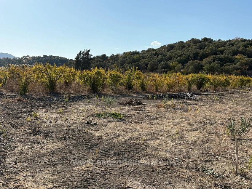 19,663 M² Farm Land And House In Eskiköy