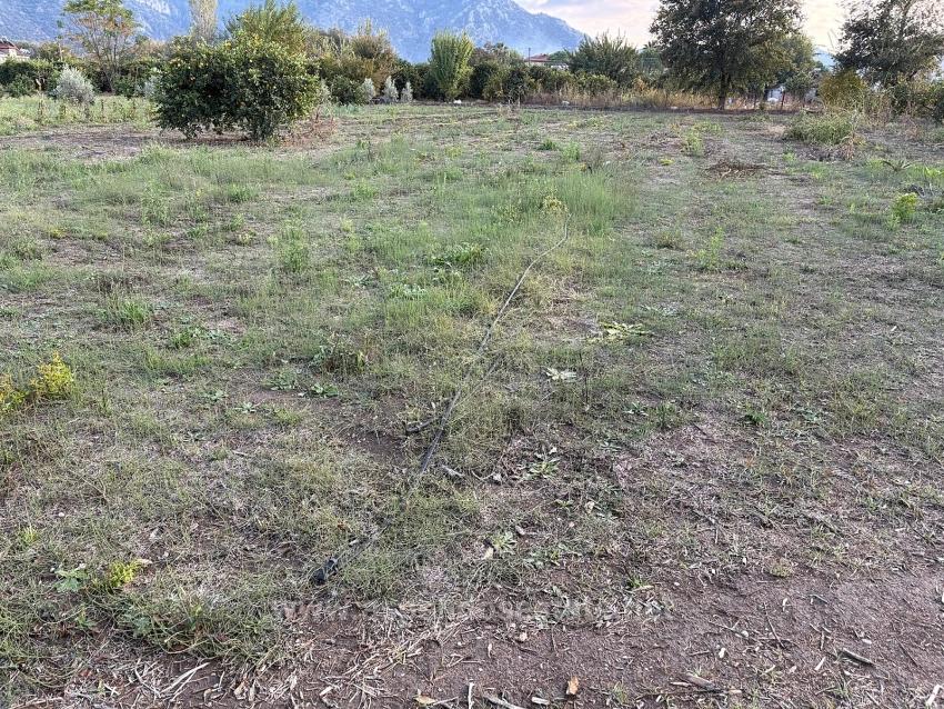 7,450 M² Plot Of Land For Sale In Dalyan With 5% Zoning.