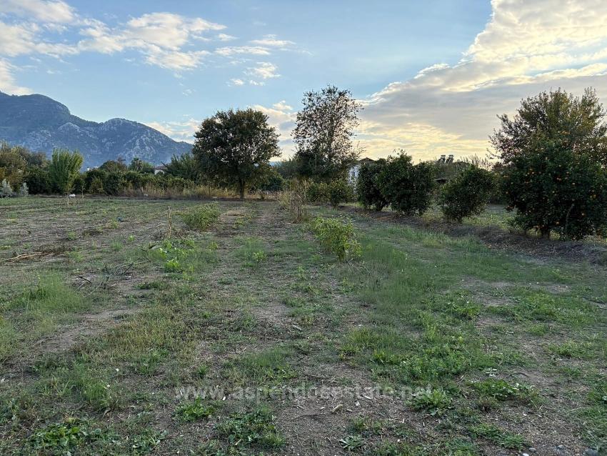 7,450 M² Plot Of Land For Sale In Dalyan With 5% Zoning.