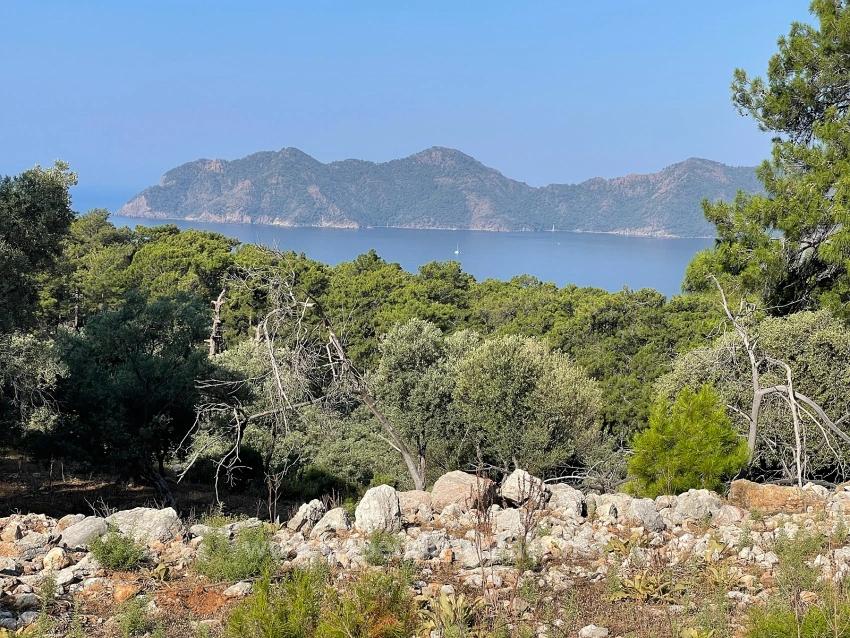 Bargain Real Estate Land For Sale With Sea View In Ekincik Çandır Arasın