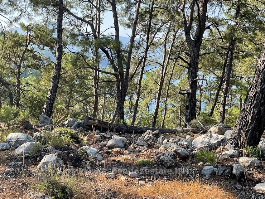 Bargain Real Estate Land For Sale With Sea View In Ekincik Çandır Arasın