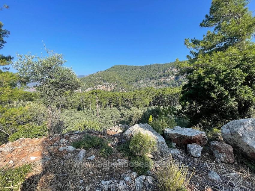 Bargain Real Estate Land For Sale With Sea View In Ekincik Çandır Arasın