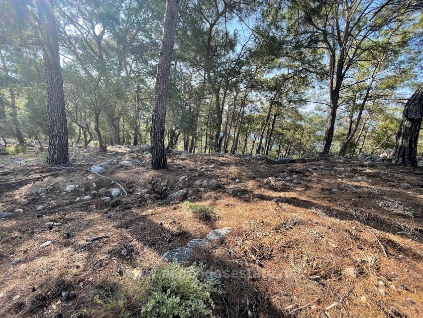 Bargain Real Estate Land For Sale With Sea View In Ekincik Çandır Arasın