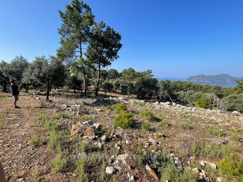 Bargain Real Estate Land For Sale With Sea View In Ekincik Çandır Arasın