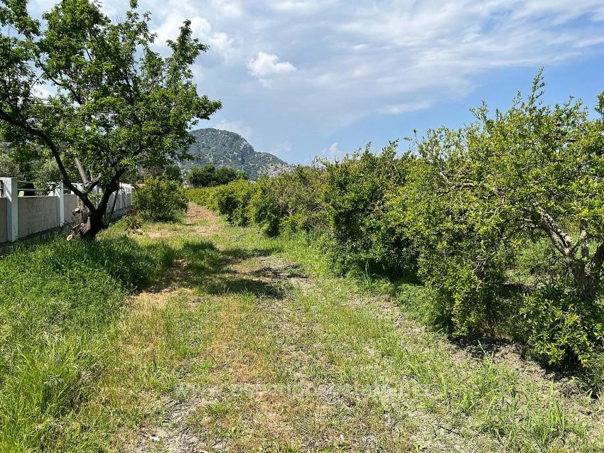 5,100 M² Plot Of Land For Sale In Dalyan, Maraş Area, Zoned For 5% Residential Use.