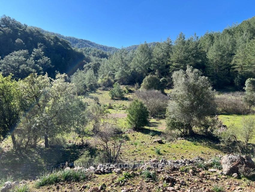Land For Sale In Gökbel, Surrounded By Nature And Forest.