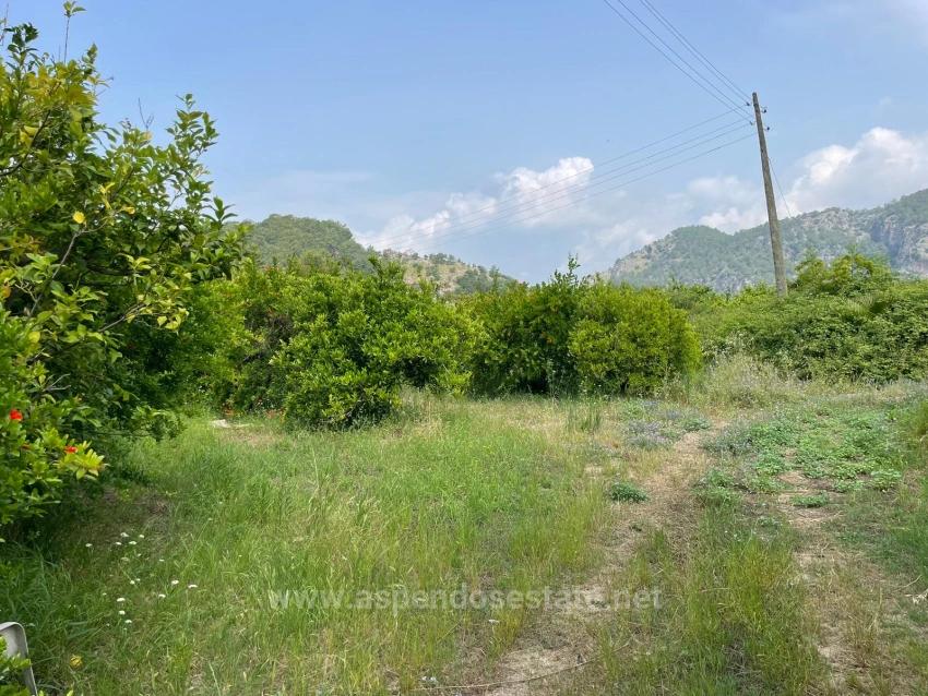 7800M2 Land For Sale In Gökbel, Next To Iztuzu Beach Road