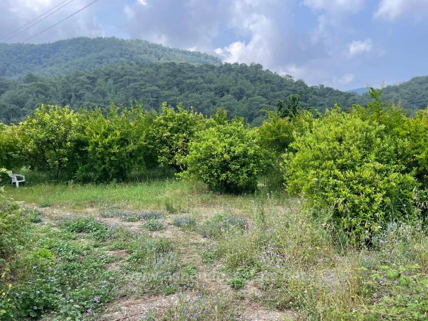 7800M2 Land For Sale In Gökbel, Next To Iztuzu Beach Road