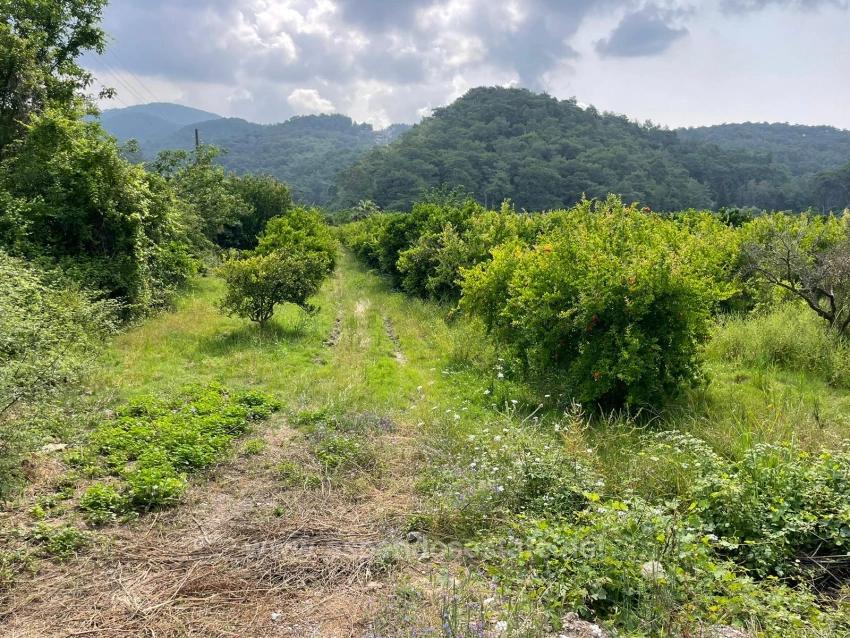 7800M2 Land For Sale In Gökbel, Next To Iztuzu Beach Road