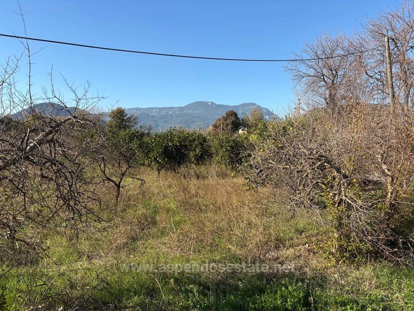 4,541 M² Garden For Sale In Dalyan.