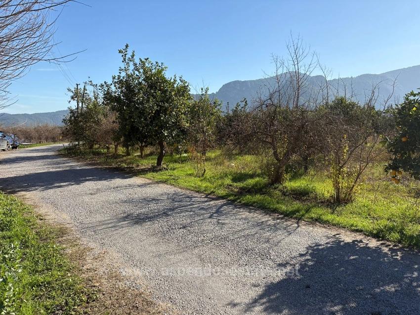 4,541 M² Garden For Sale In Dalyan.